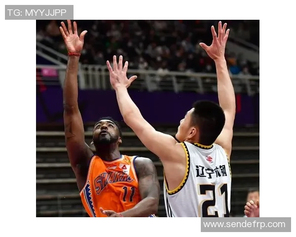 威尔士与塞尔维亚精彩对决直播全程回顾与分析